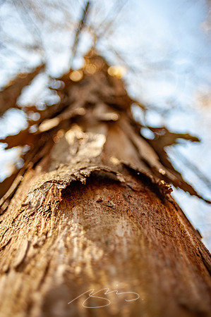 Cooper-Creek-Park-11