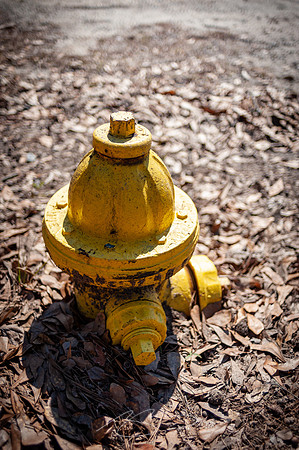 Cooper-Creek-Park-12