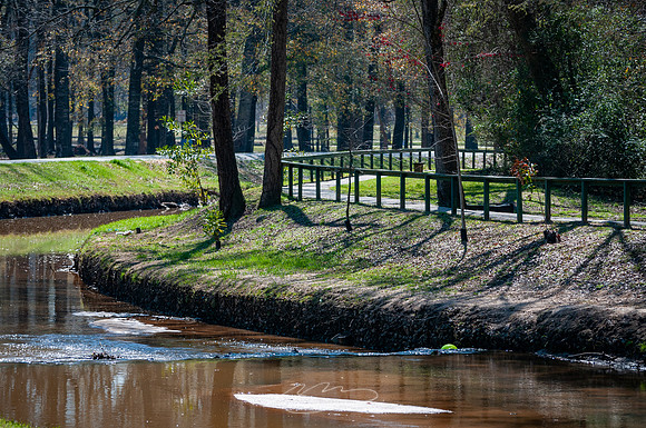 Cooper-Creek-Park-13