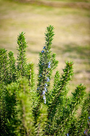 Oxbow-Enviromental-3