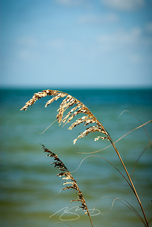 Anna Maria-3