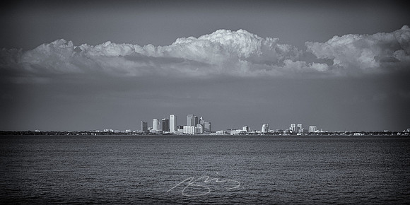Tampa-1