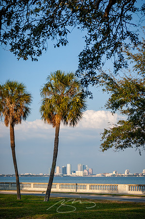 Tampa-4