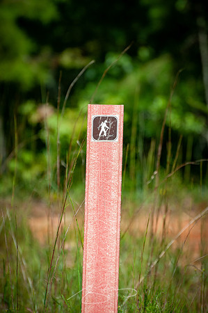 Providence-Canyon-08-1