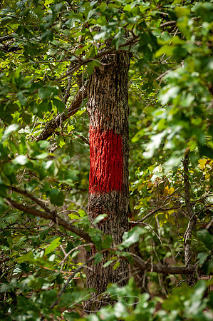 Providence-Canyon-08-3