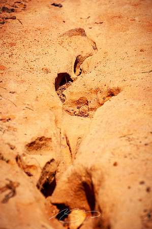 Providence-Canyon-08-9