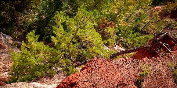 Providence-Canyon-08-11