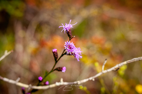 Providence-Canyon-08-12