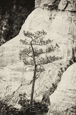 Providence-Canyon-08-15