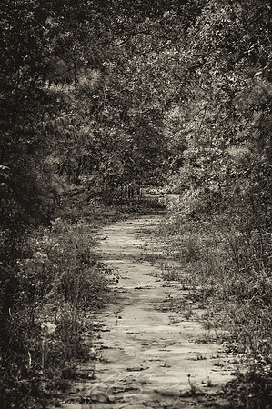Providence-Canyon-08-20