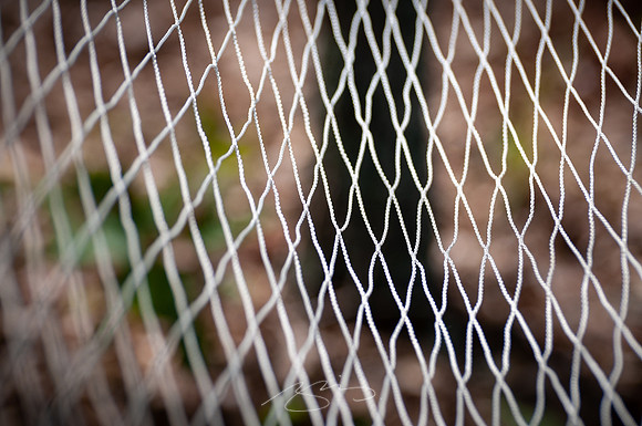 Providence-Canyon-08-22