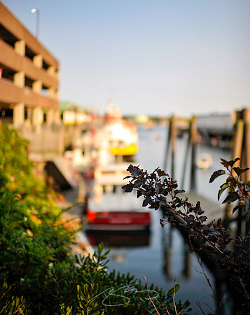 Portland-89