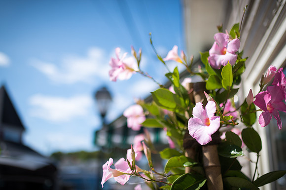 Kennebunkport-56