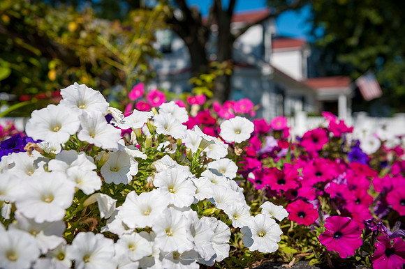 Ogunquit-10