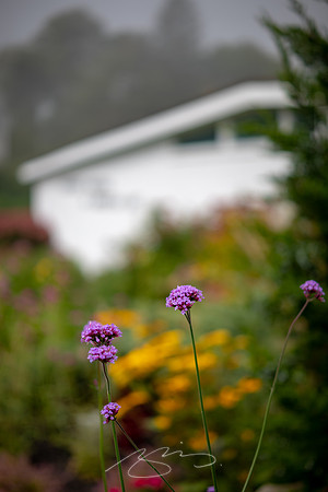 Ogunquit-OMAA-5