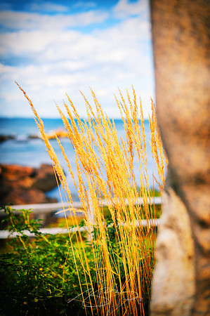 Ogunquit-OMAA-23