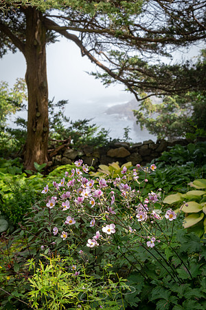 Ogunquit-OMAA-27