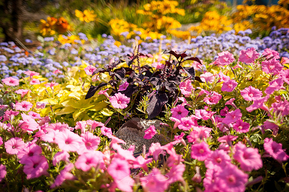 Ogunquit-OMAA-31