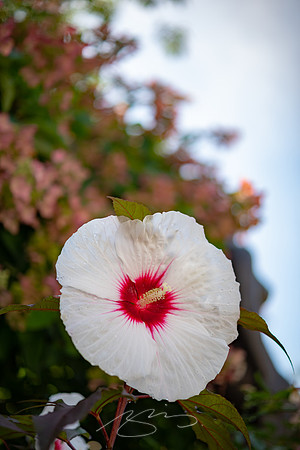 Ogunquit-OMAA-34
