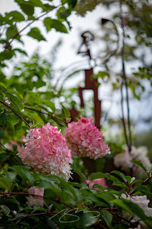 Ogunquit-OMAA-38