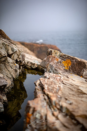 Ogunquit-OMAA-44