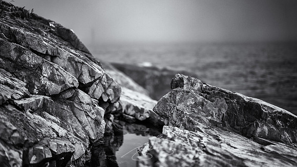 Ogunquit-OMAA-45
