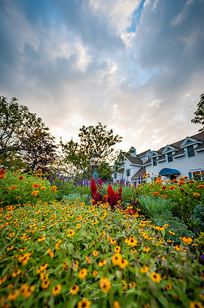 Ogunquit-Sparhawk-Flowers-3