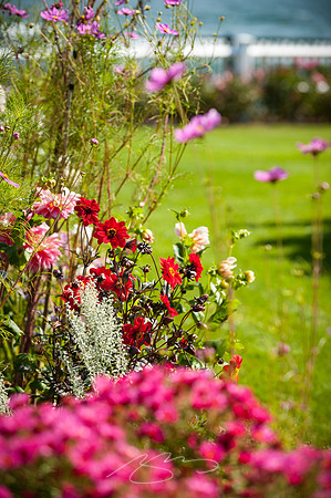 Ogunquit-Sparhawk-Flowers-32