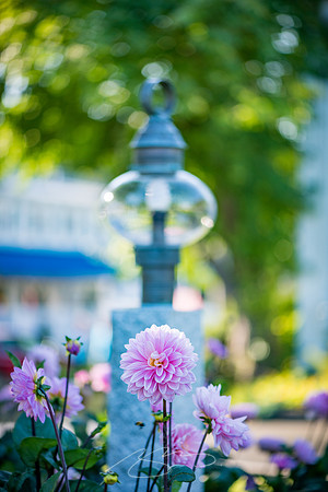 Ogunquit-Sparhawk-Flowers-39