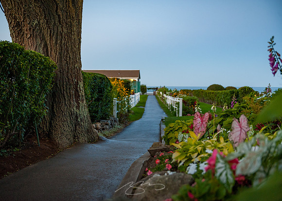 Ogunquit-Sparhawk-Flowers-67