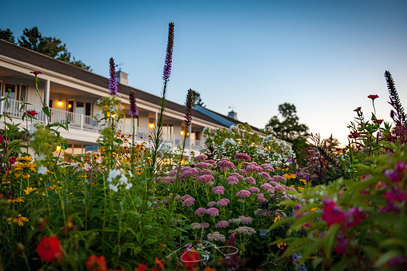 Ogunquit-Sparhawk-Flowers-69