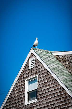 East Boothbay-20