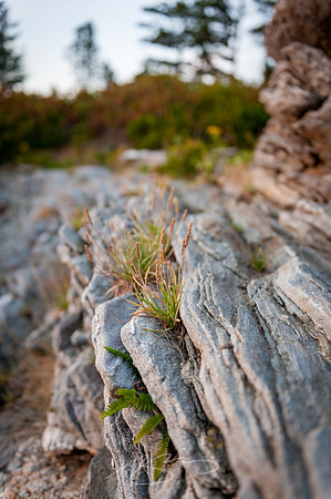 Pemaquid-5