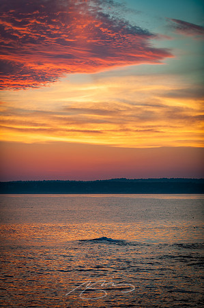 Pemaquid-7