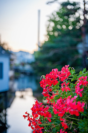 Camden-28