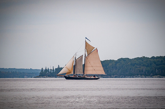 Sailing-Grace-Bailey-7