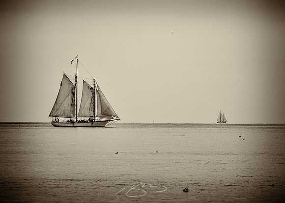 Sailing-Grace-Bailey-13