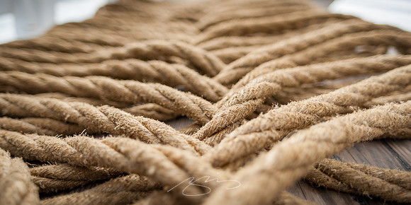 Sailing-Grace-Bailey-21