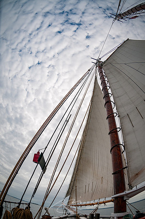 Sailing-Grace-Bailey-50