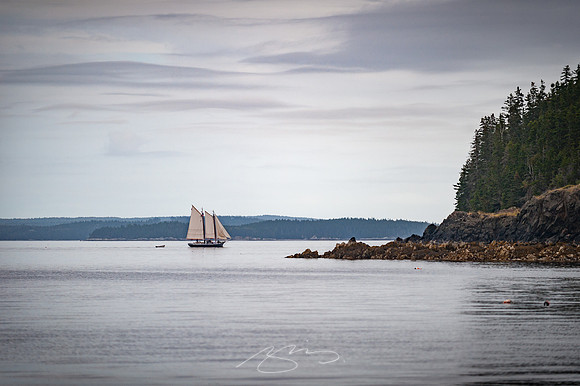 Sailing-Grace-Bailey-60