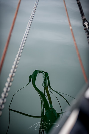 Sailing-Grace-Bailey-63