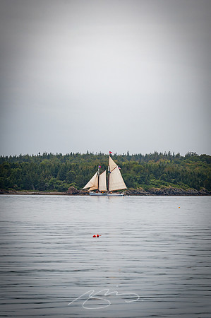 Sailing-Grace-Bailey-65