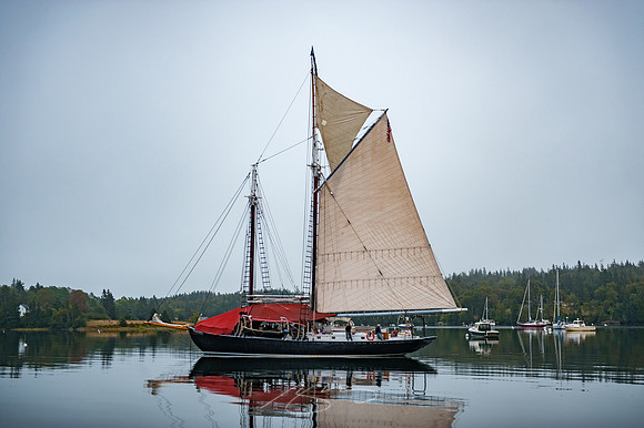 Sailing-Grace-Bailey-82
