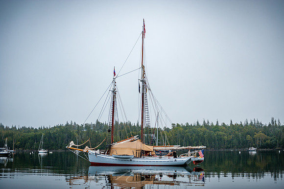 Sailing-Grace-Bailey-83