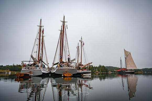 Sailing-Grace-Bailey-85