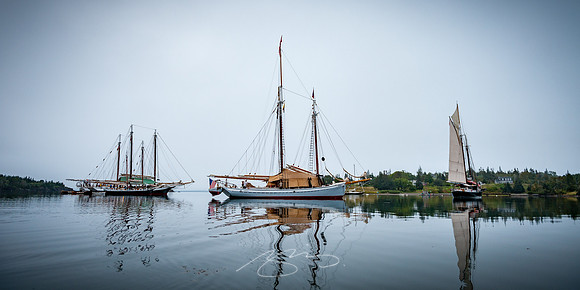 Sailing-Grace-Bailey-87