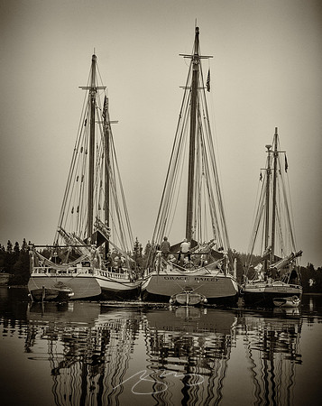 Sailing-Grace-Bailey-96
