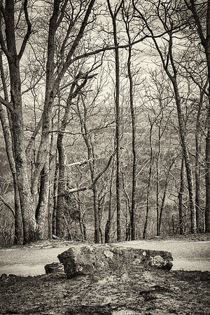 2022-3 - Rock and Trail, Dowdell Knob