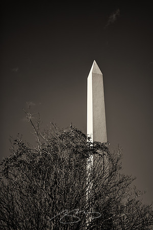 Riverside-2020-10