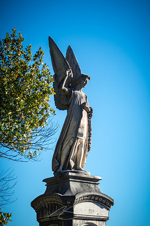 Rose-Hill_1-18-21-2